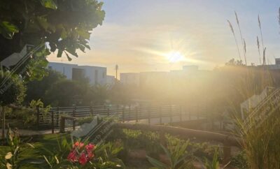 Yoha Hill Retreat Studio Pool View Taghazout Bay Tamourit