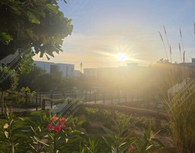 Yoha Hill Retreat Studio Pool View Taghazout Bay Tamourit